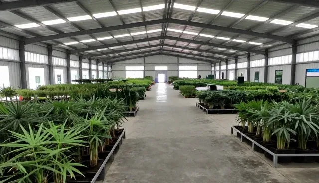 种苗生长中的检查要点及使用建议